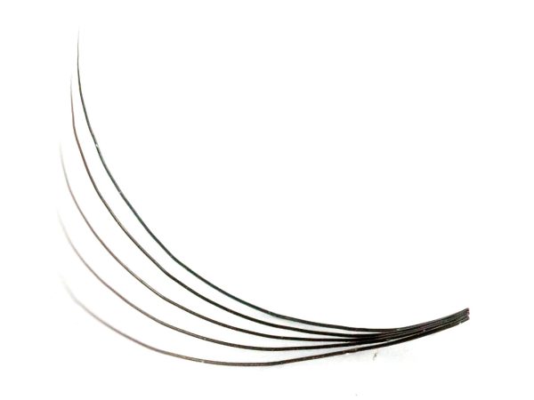 15D 0.05 C Curl 9mm lash fan image